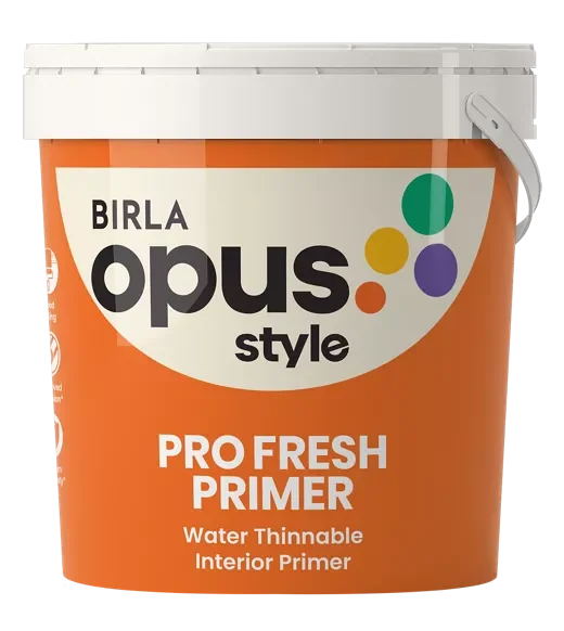 Style Color Fresh Shine