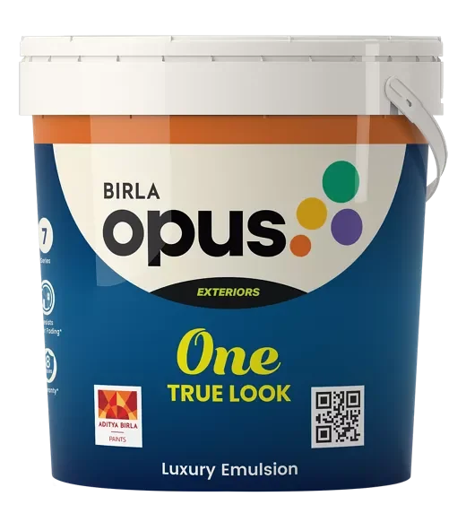 One True Look