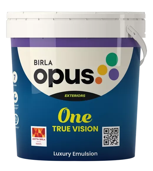 One True Vision