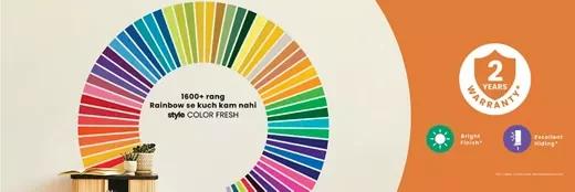 Style Color Fresh