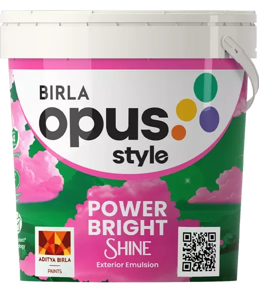Style Power Bright Shine